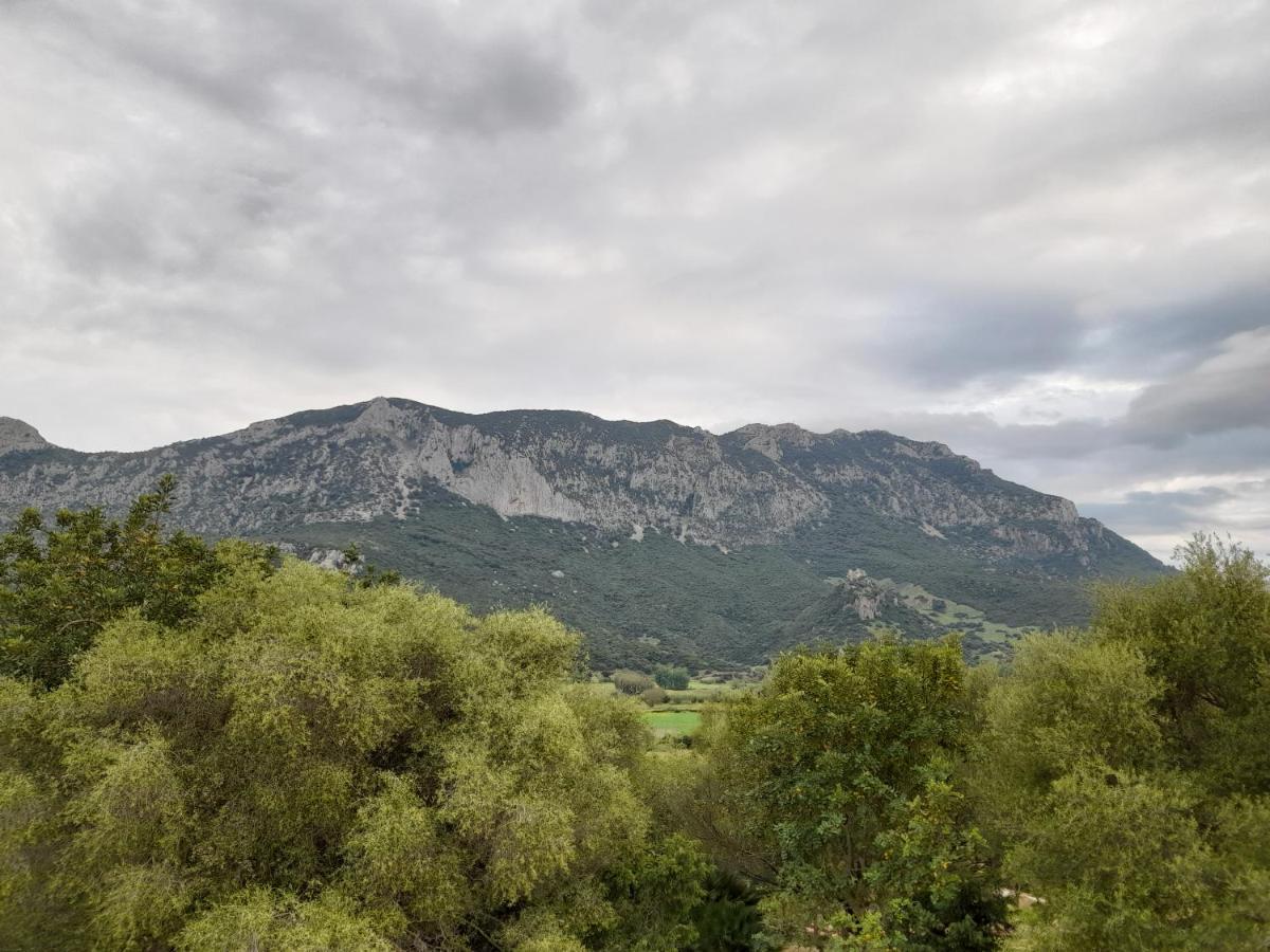 Agriturismo Palas De Serra Country Resort Onifai Εξωτερικό φωτογραφία
