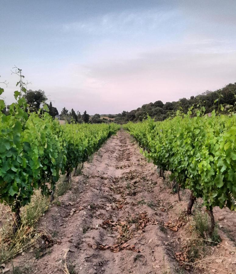 Agriturismo Palas De Serra Country Resort Onifai Εξωτερικό φωτογραφία