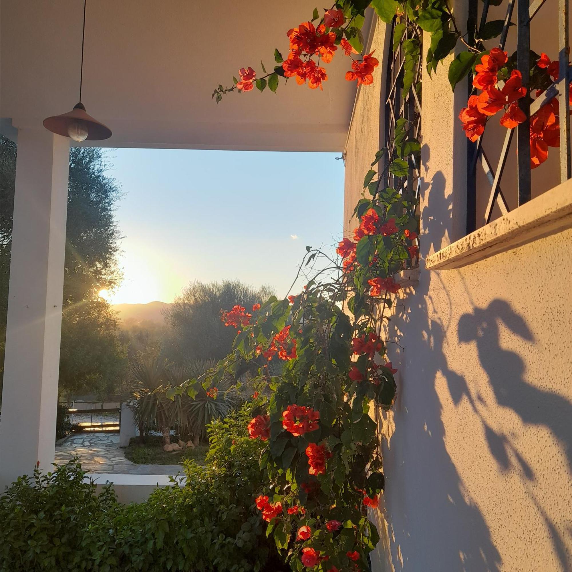 Agriturismo Palas De Serra Country Resort Onifai Εξωτερικό φωτογραφία