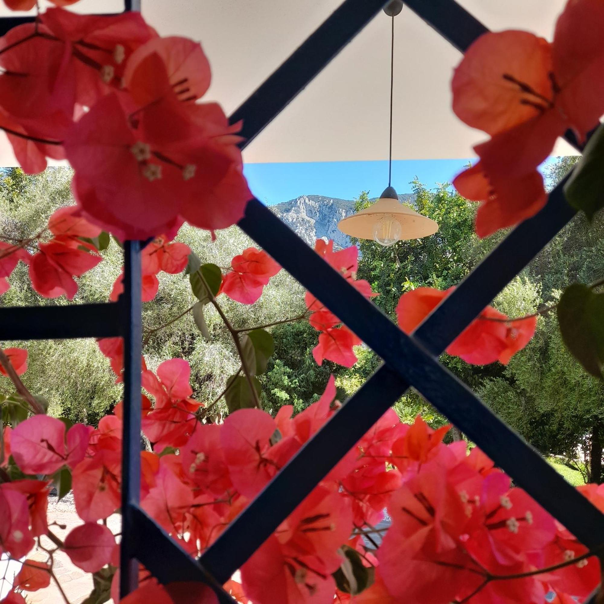 Agriturismo Palas De Serra Country Resort Onifai Εξωτερικό φωτογραφία